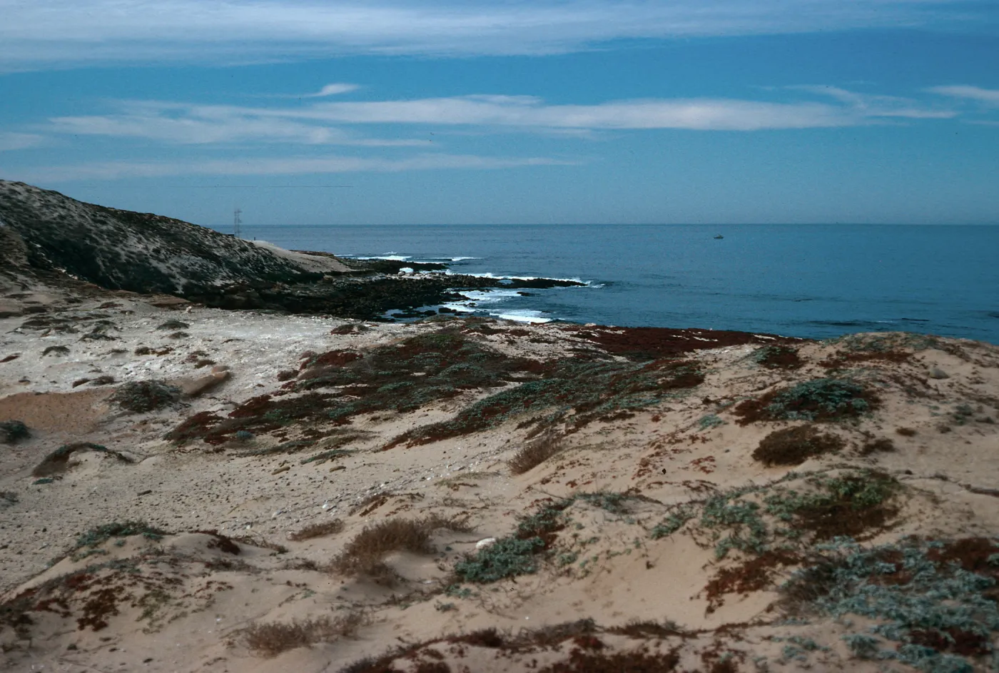 dunes, North side of Vizcaino Point, from cormorant blind, San Nicolas Island
