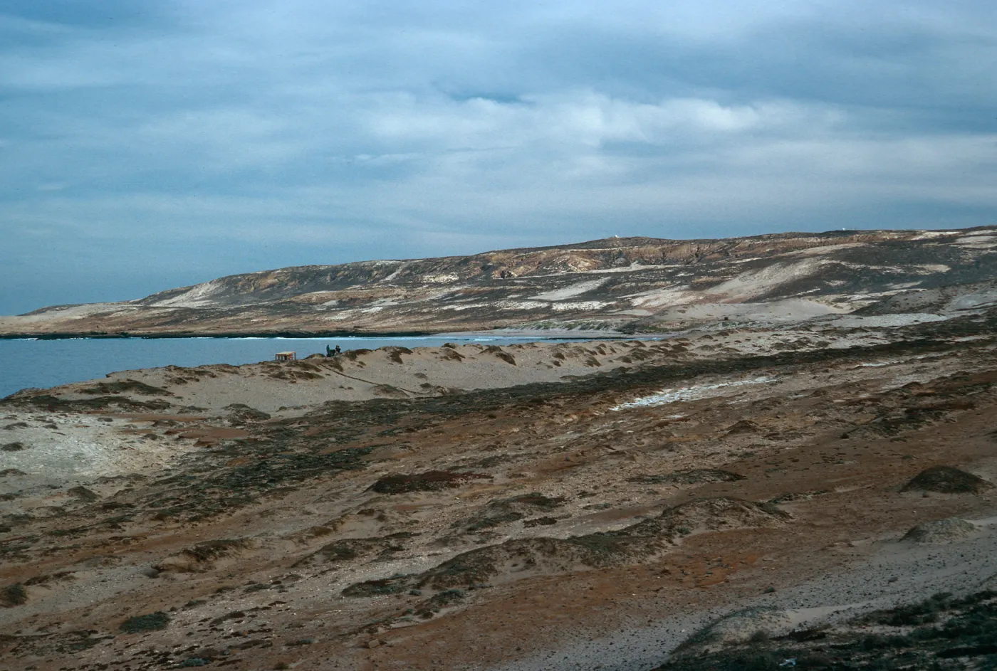 dunes, West of Red Eye Beach, San Nicolas Island