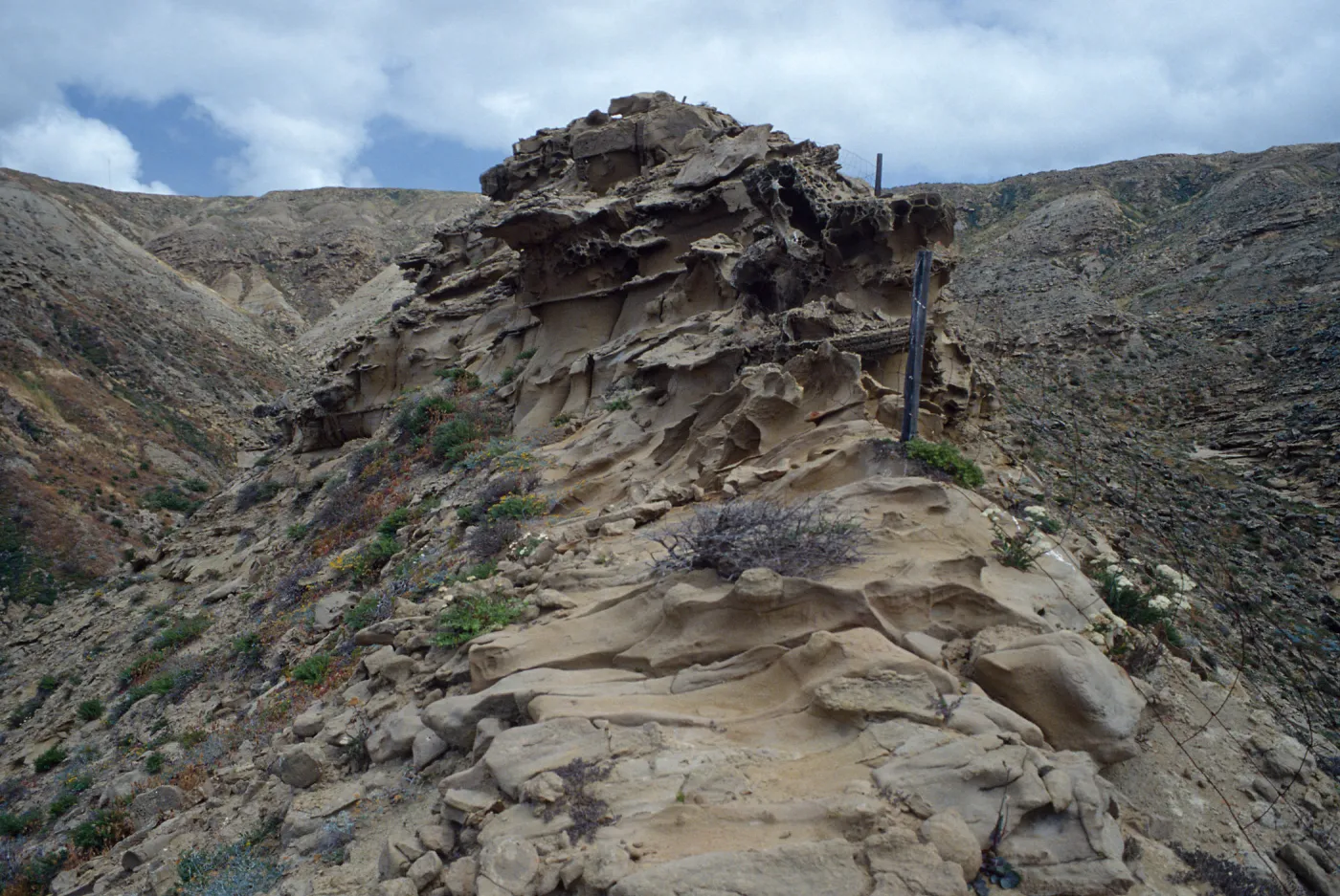 ridge between 1st & 2nd canyons, West of South range marker poles, San Nicolas Island