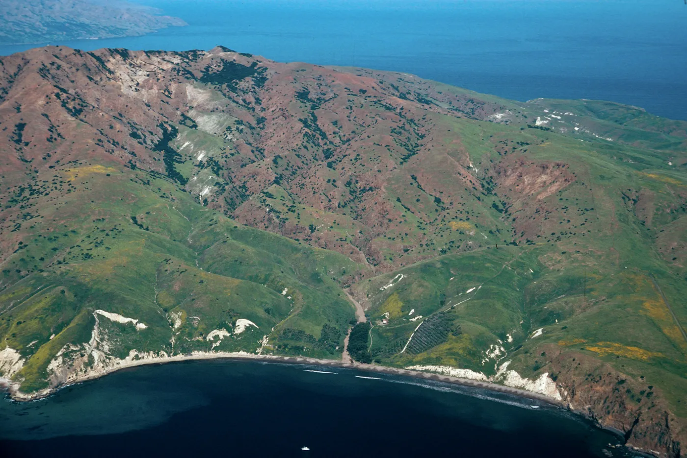 Smugglers Cove, Santa Cruz Island