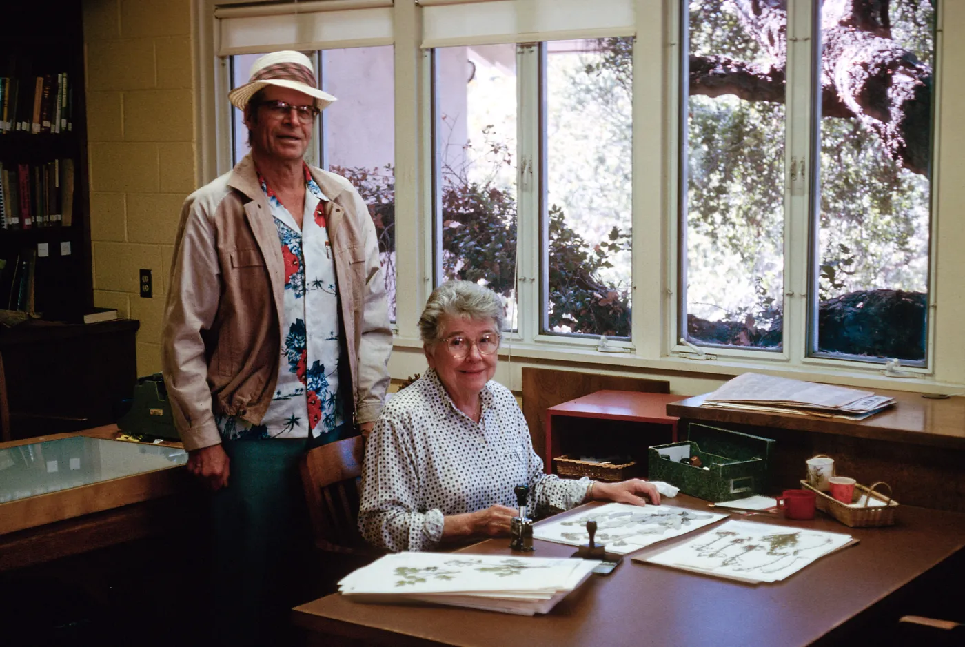 Clif & jean, mounting 88,000th specimen, Eriodictylon tomentosum