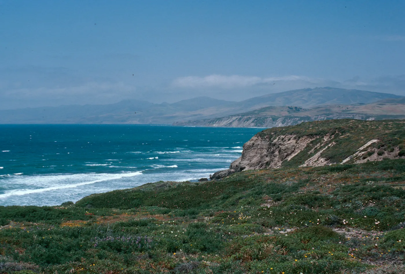 beach near Point Conception