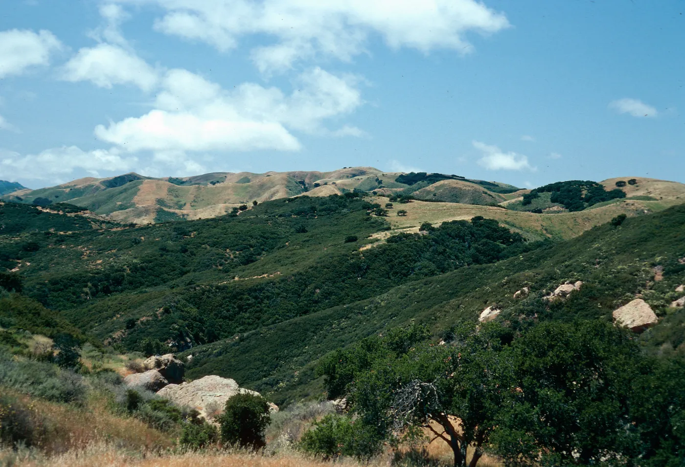 view near Gaviota, Santa Barbara County