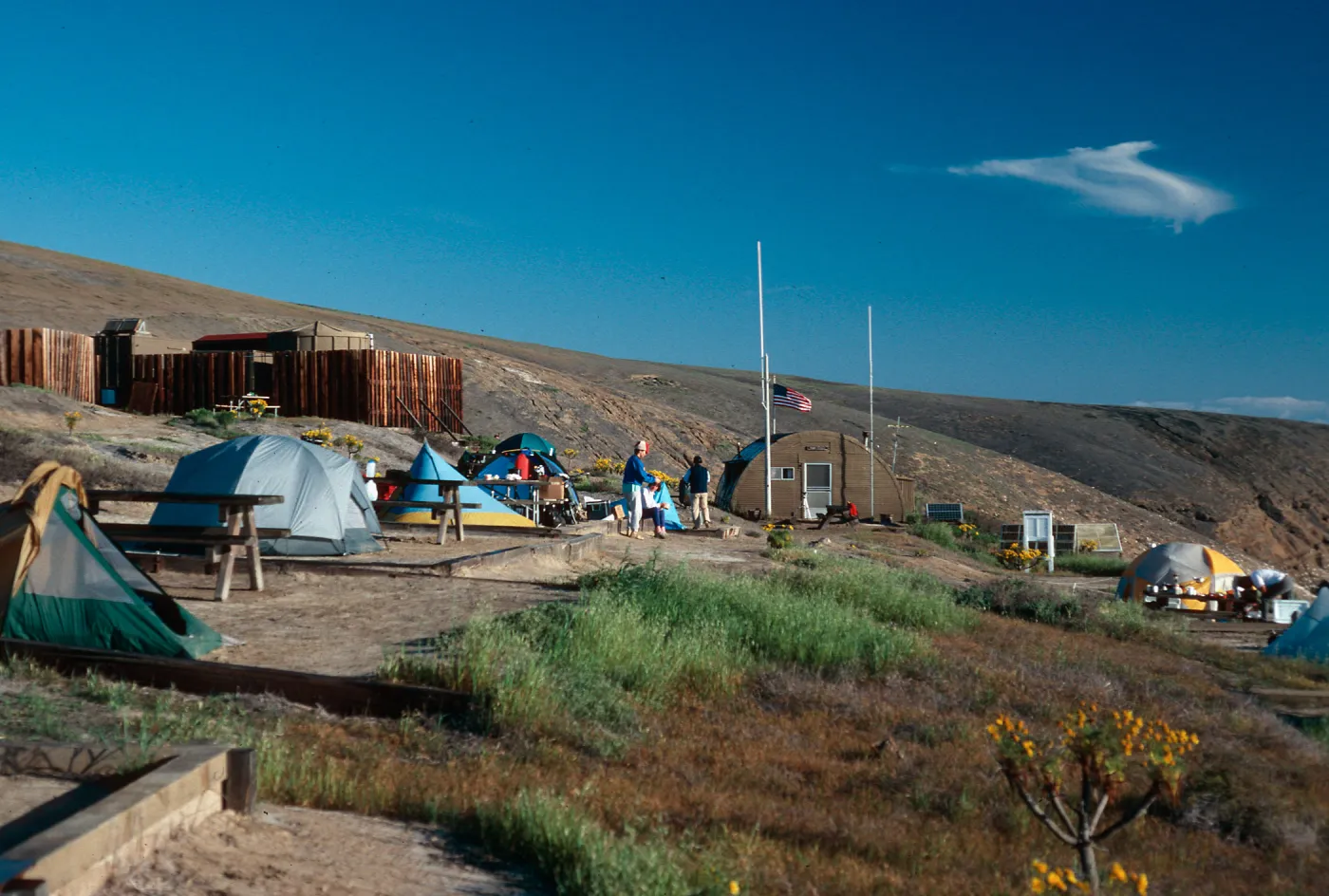 campground, Santa Barbara Island
