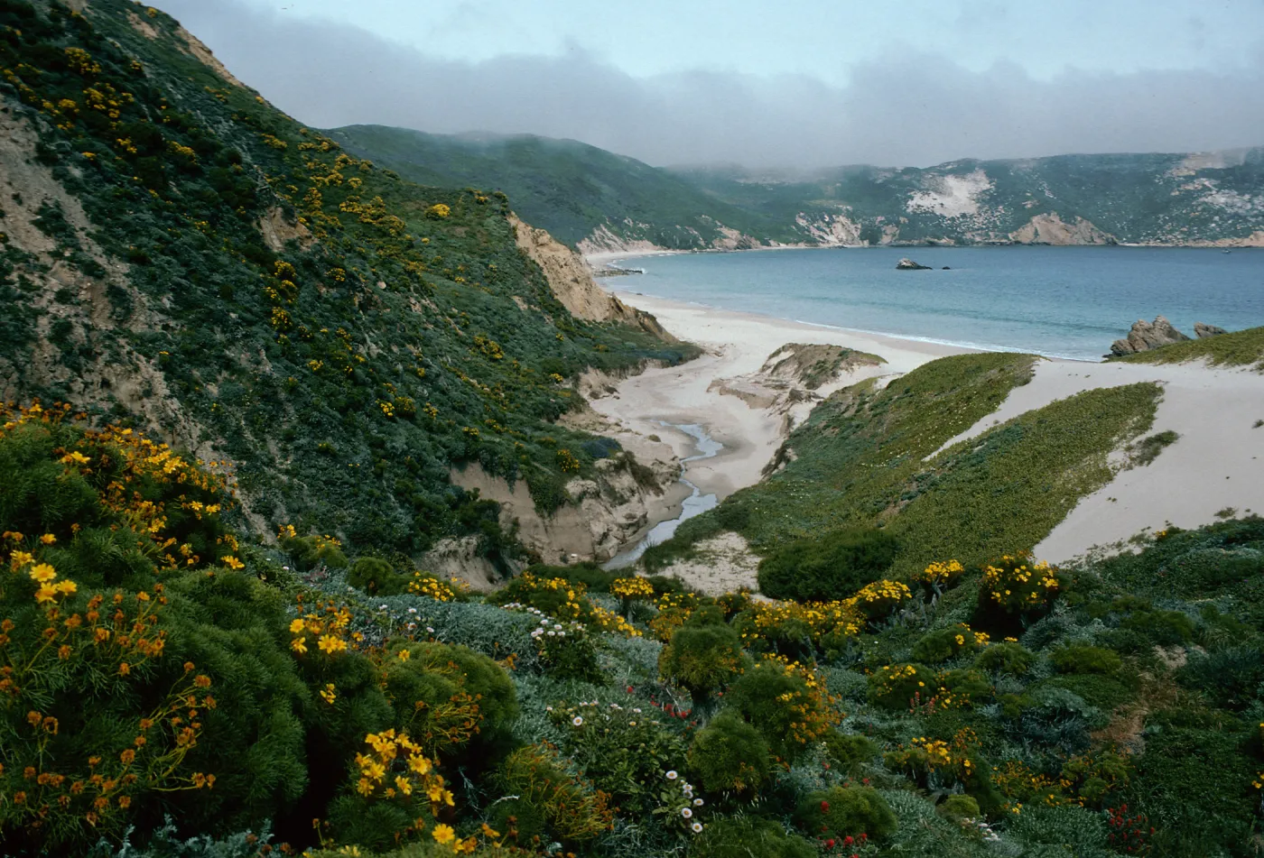Cuyler Harbor, mouth of Cañada Del Mar, San Miguel Island