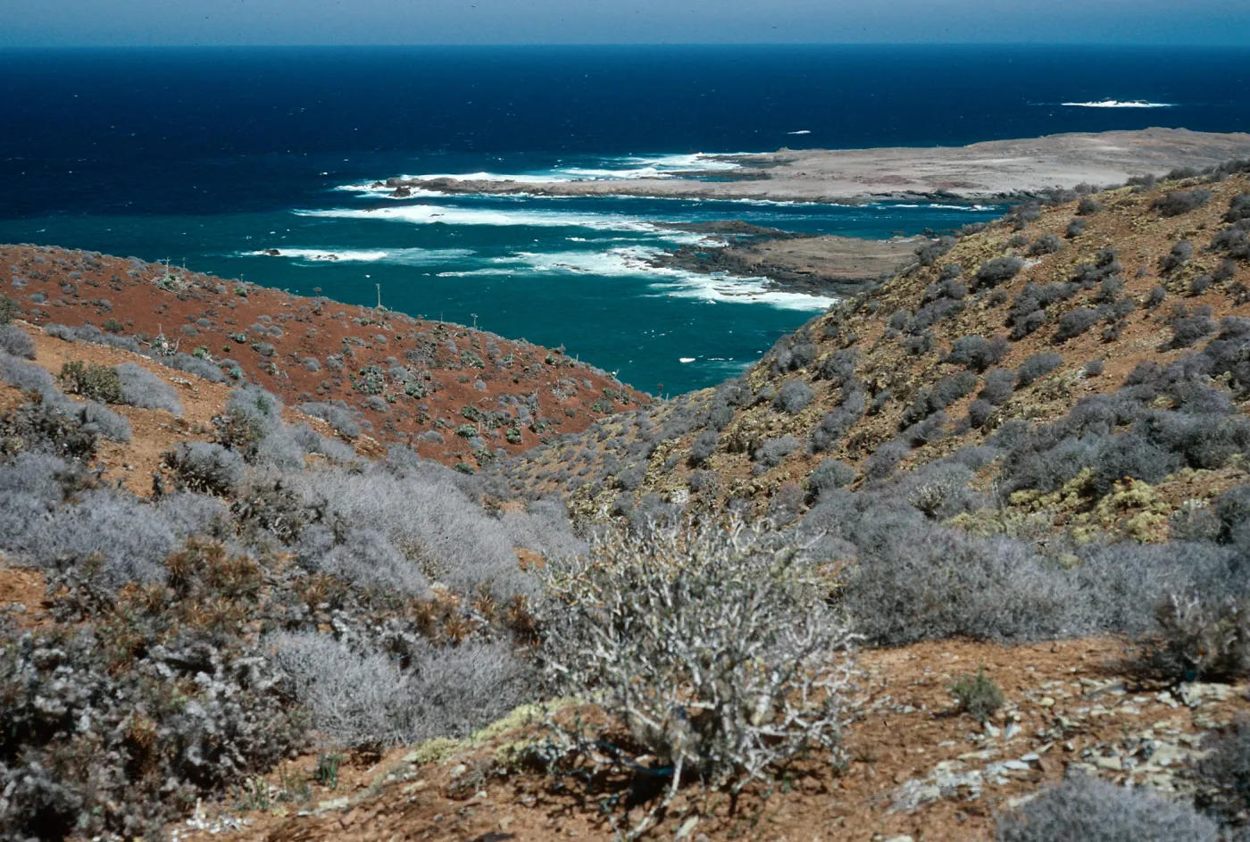 view of Middle San Benito Island,, West San Benito Island