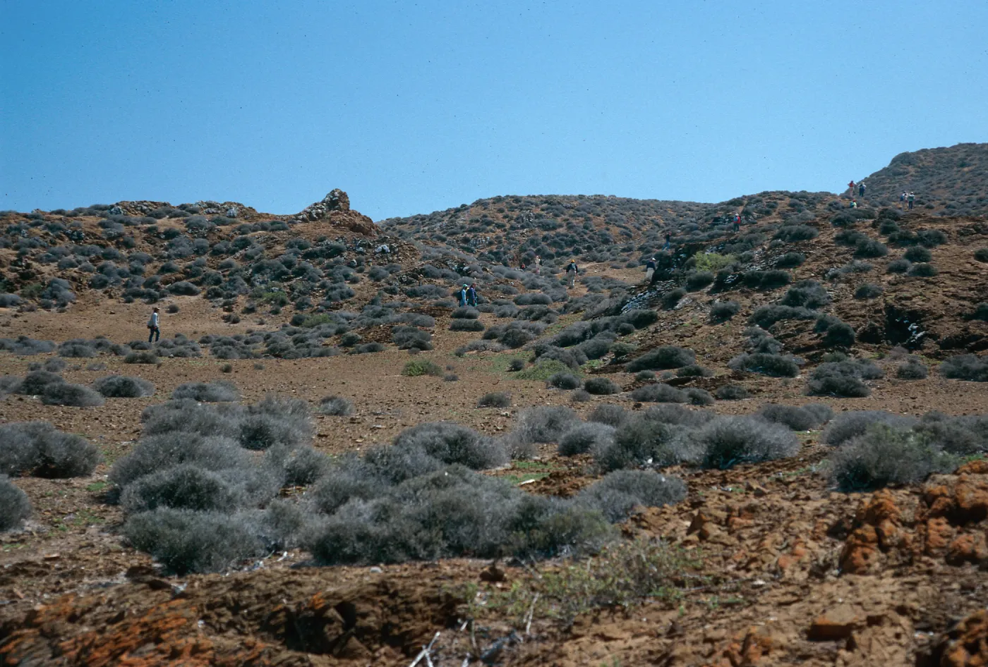 Northwest, near lighthouse, West San Benito Island