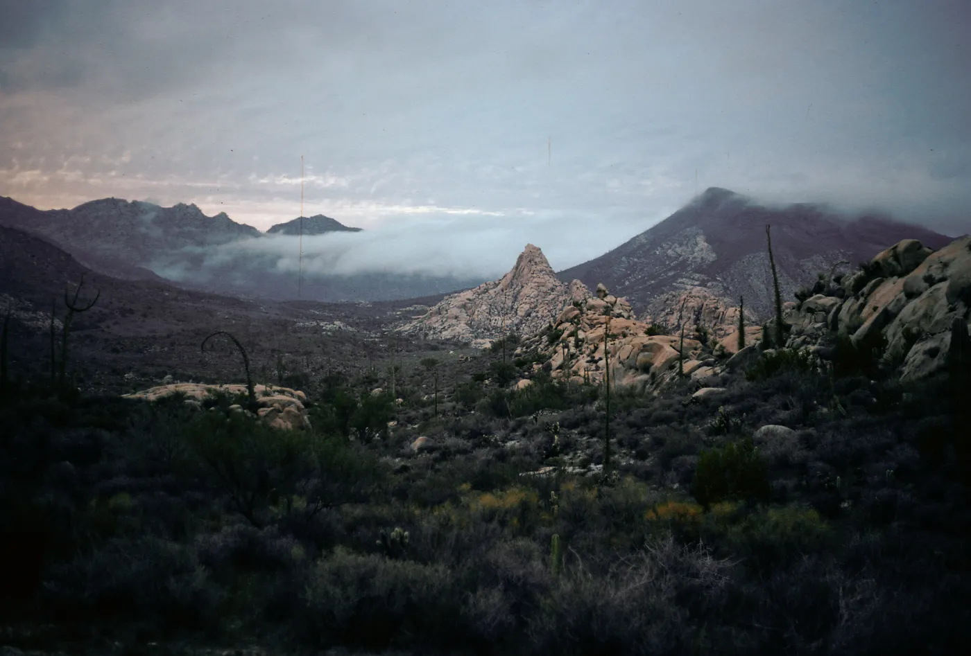 Sierra San Luis reserve, Baja