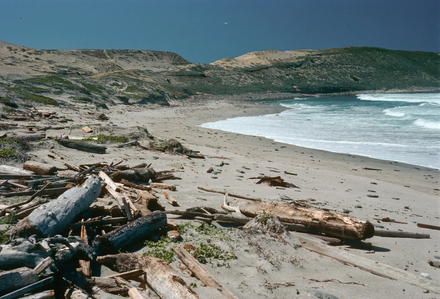Red Eye Beach, San Nicholas Island
