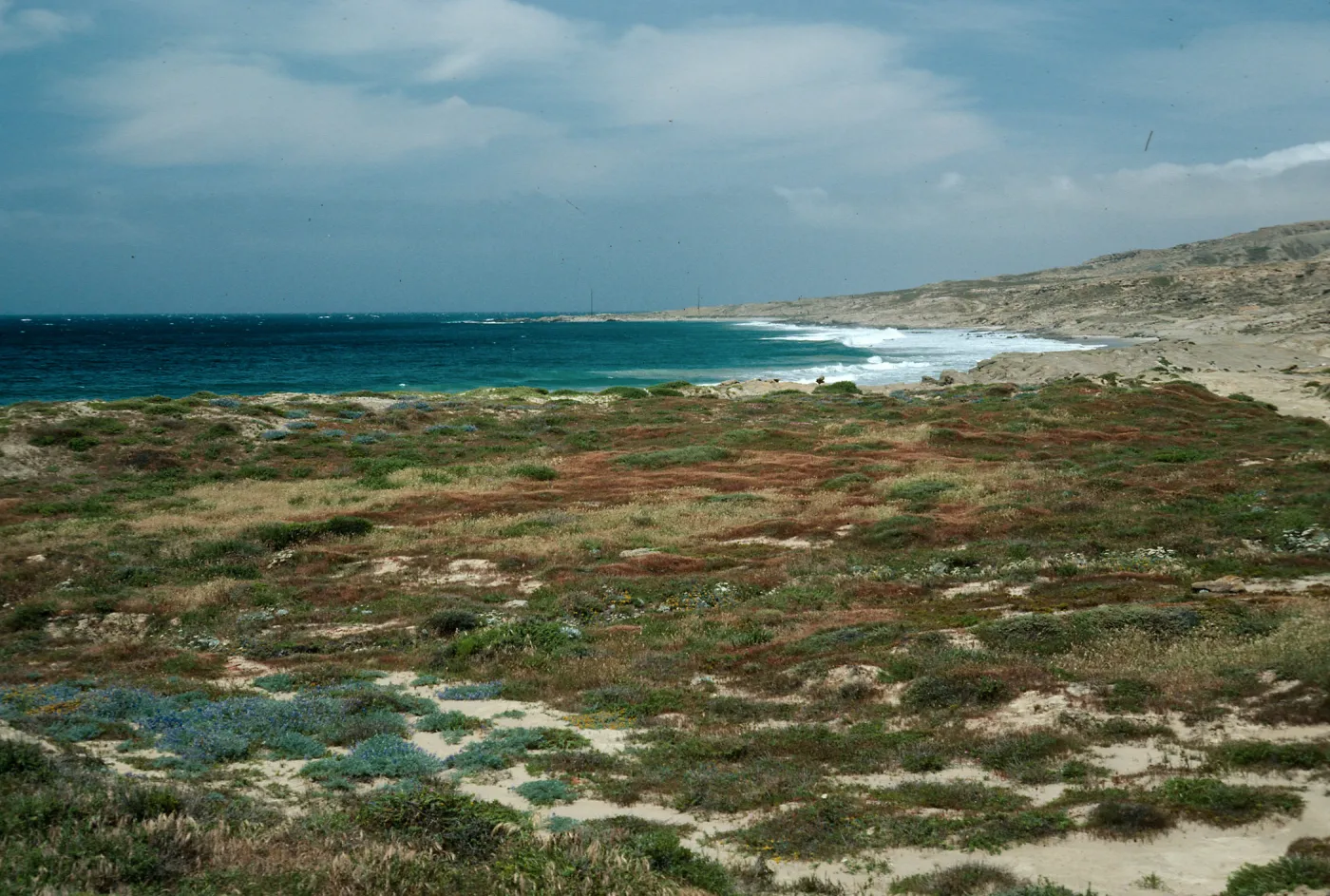 East of Dutch Harbor, San Nicolas Island