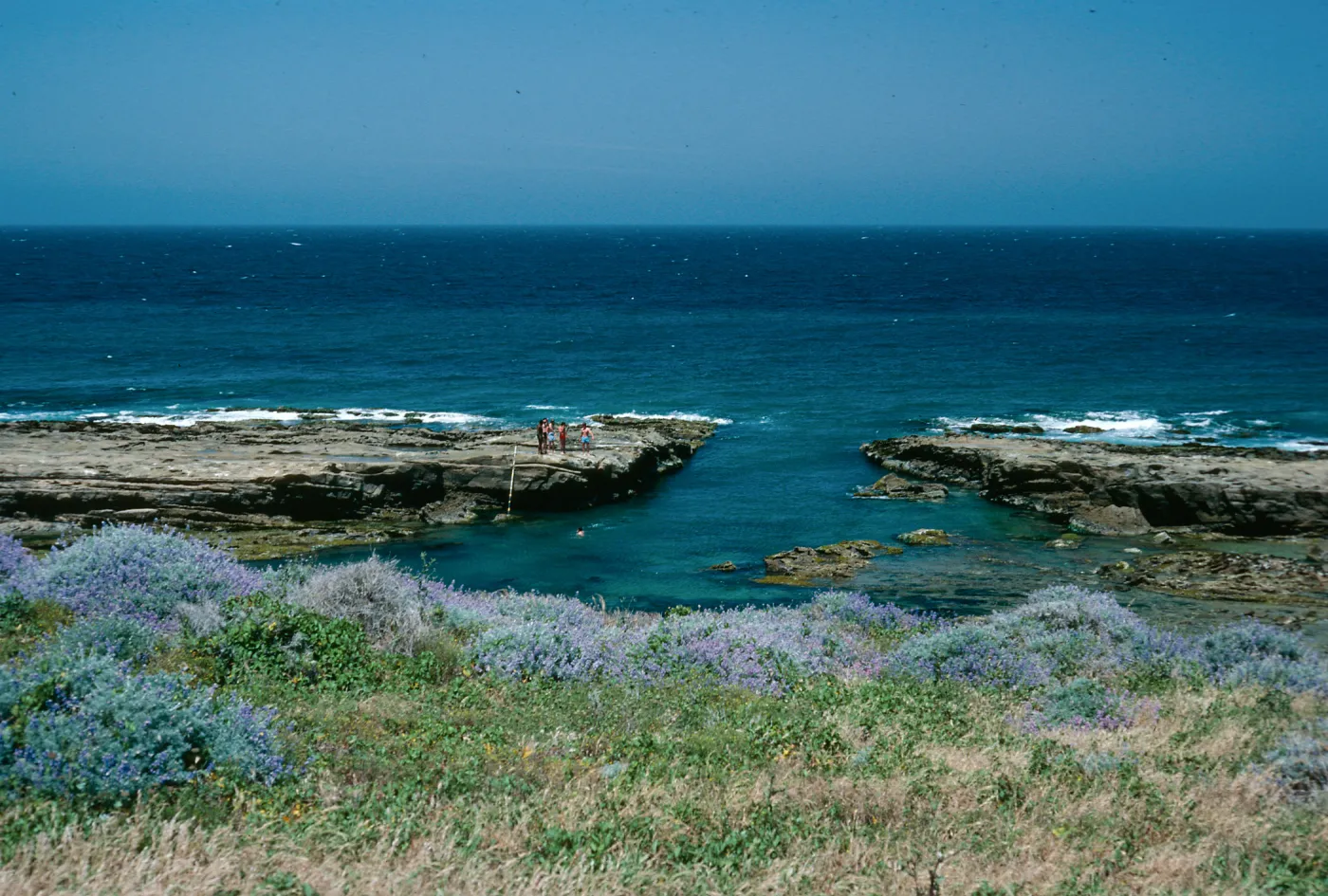 Corral Harbor, San Nicolas Island