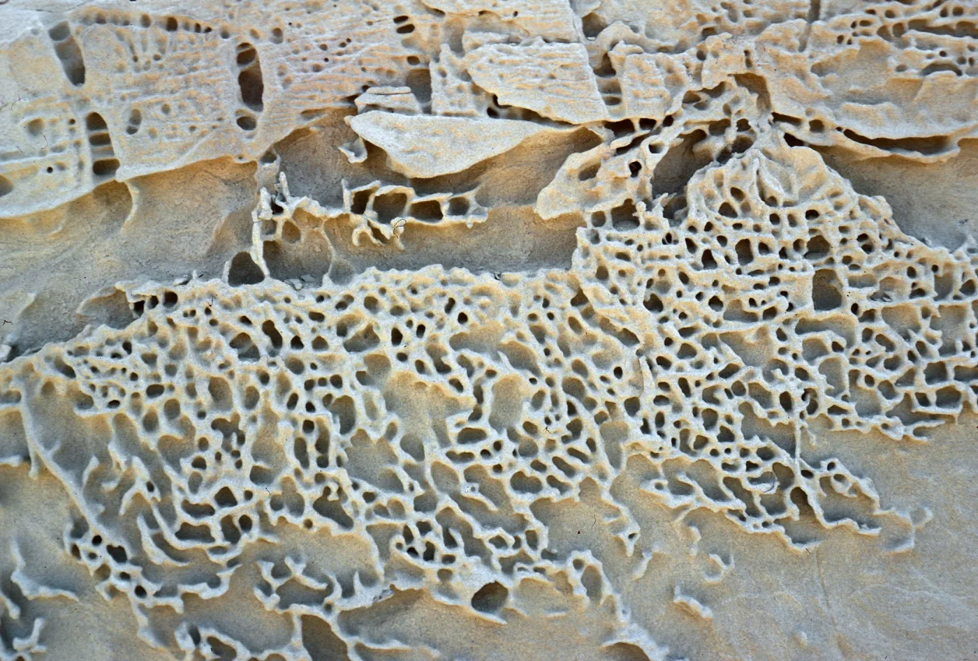 sandstone patterns, Daytona Beach, San Nicolas Island
