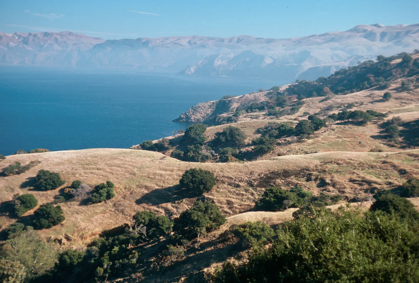 looking East from near Pelican Harbor, Santa Cruz Island
