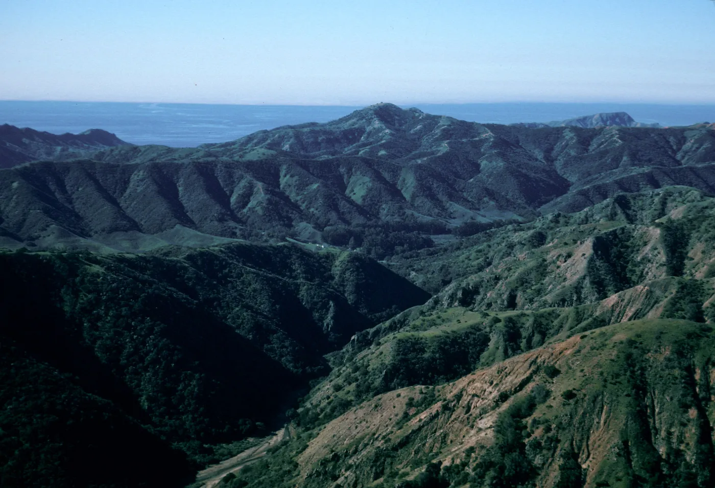 Cañada Del Puerto, Central Valley, Santa Cruz Island