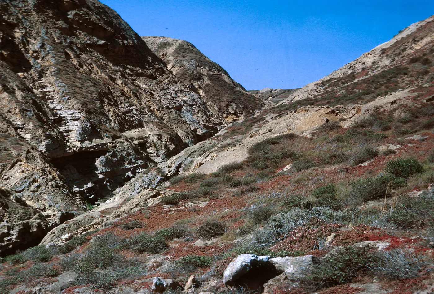 7/ mouth of Celery Canyon from the Northeast, 65-133 & SN-50
