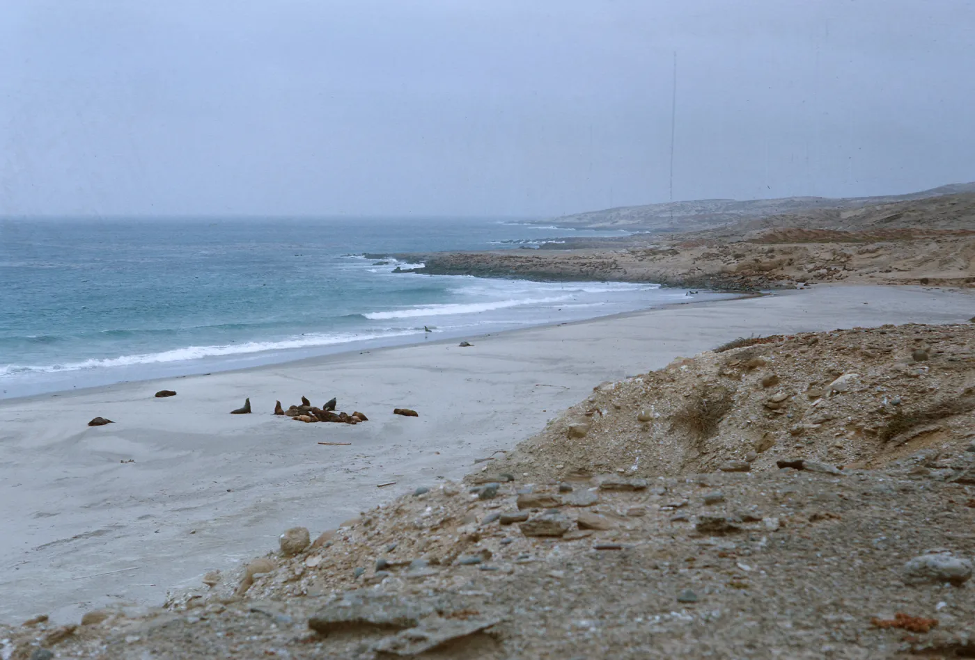 11/ looking West along coast from 1.5 miles Northwest of Dutch Harbor, 65-156 & SN-73