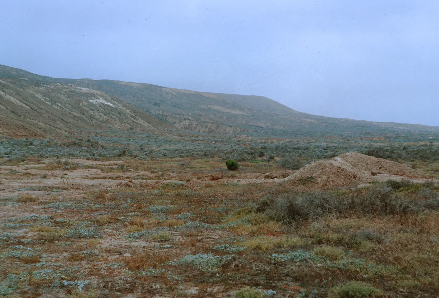17/ looking Northwest along East facing coast, North of Army Camp Beach, 65-184 & SN-101