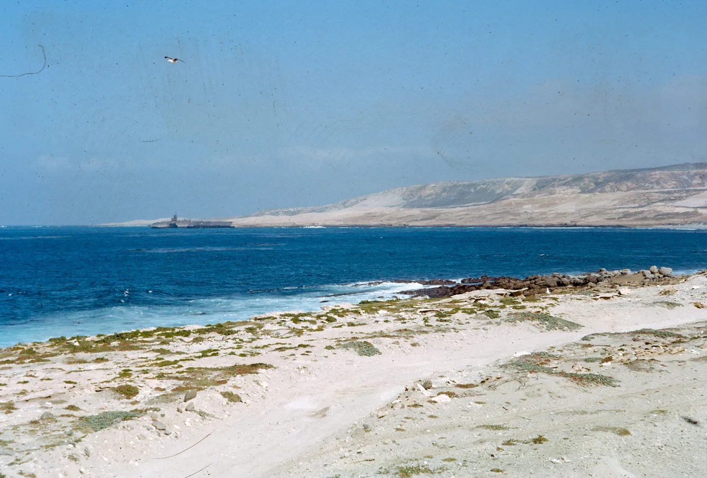 carrier from Northern tip of the island, 66-23 & SN-279