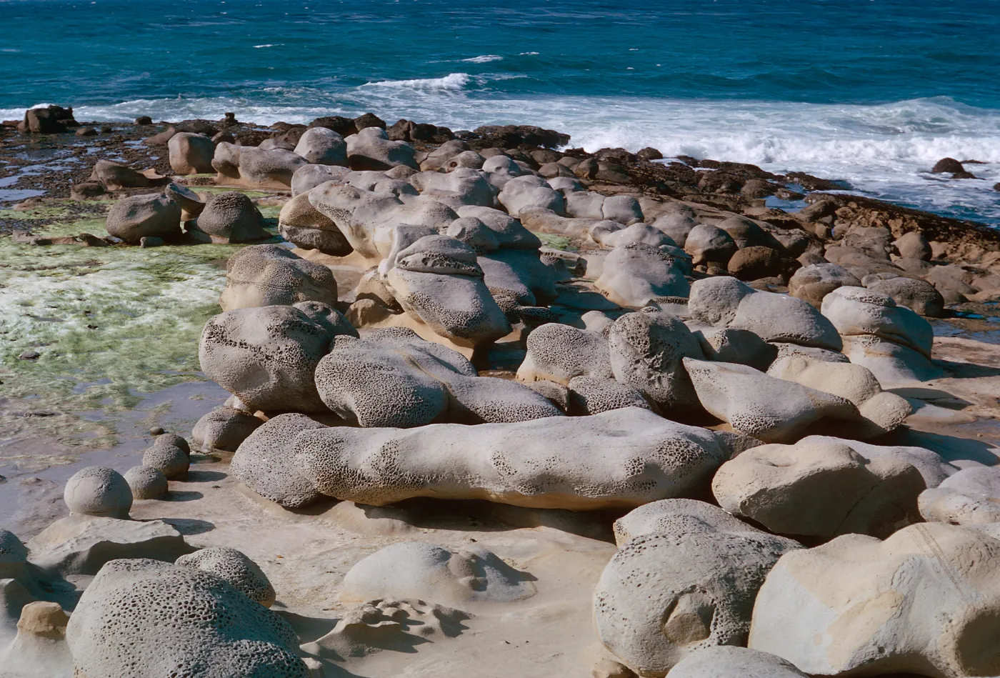 pedestals on carrier reef, 66-34 & SN-290