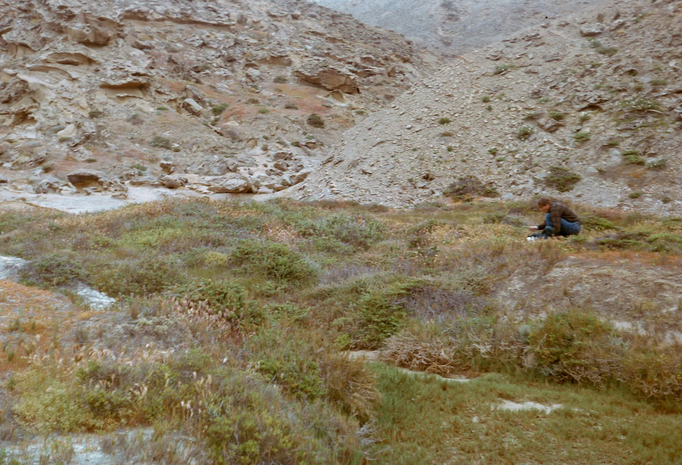 small valley at back of beach area - Dan Smith