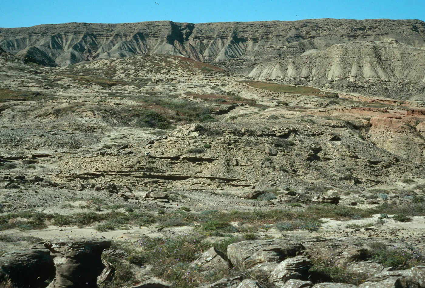 South escarpment, Above Daytona Beach, San Nicolas Island