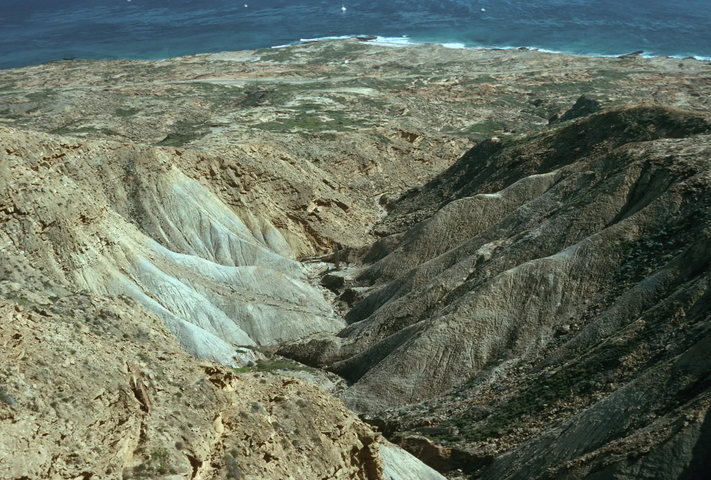 Towers Canyon, Southeast end, San Nicolas Island