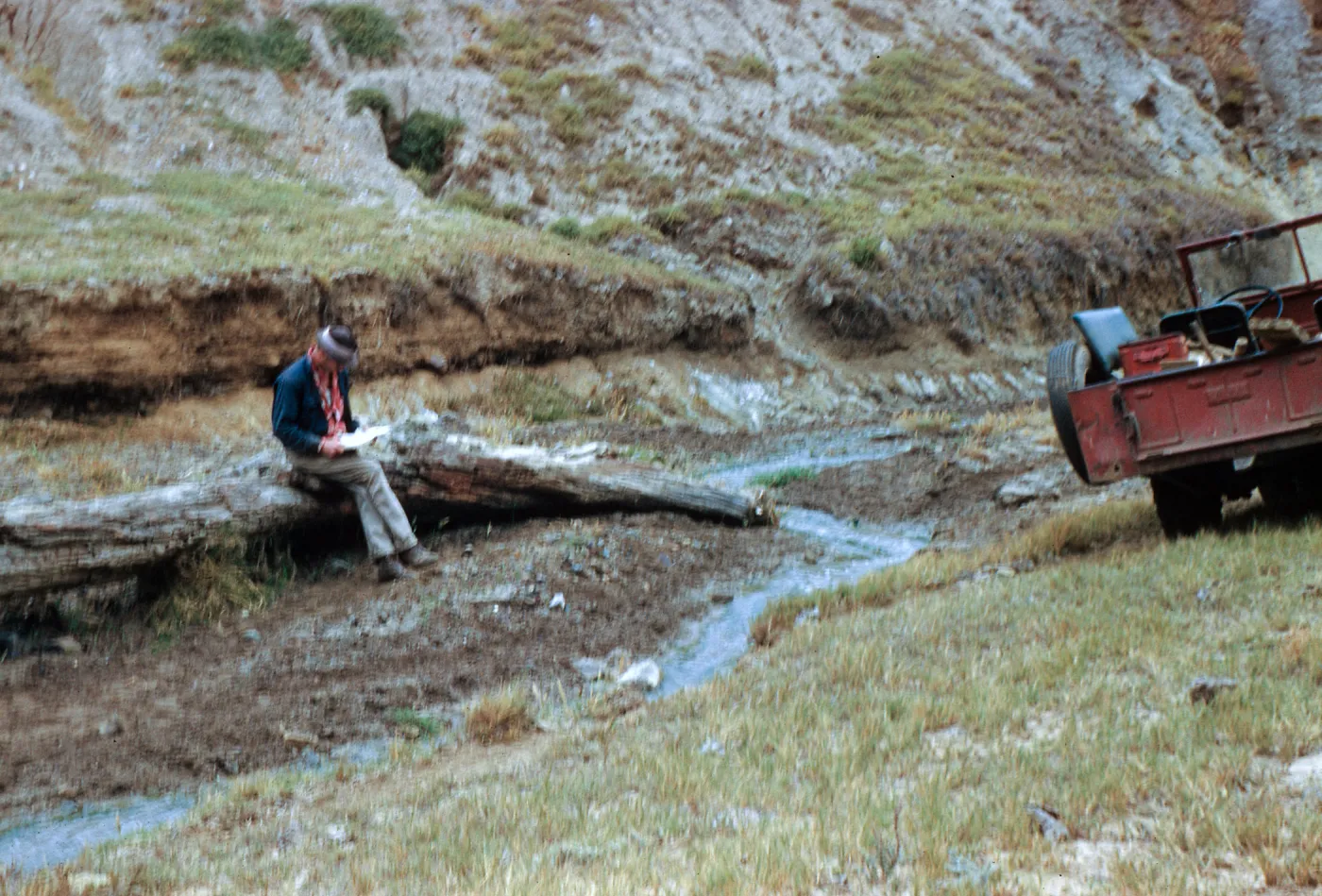 Fossil log, Cliff Smith, Las Sauces, Santa Cruz Island
