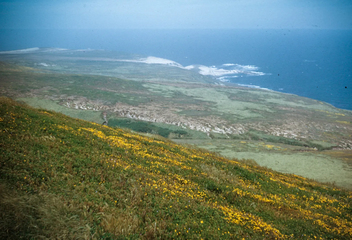 Otter Harbor from Green Mountain, San Miguel Island