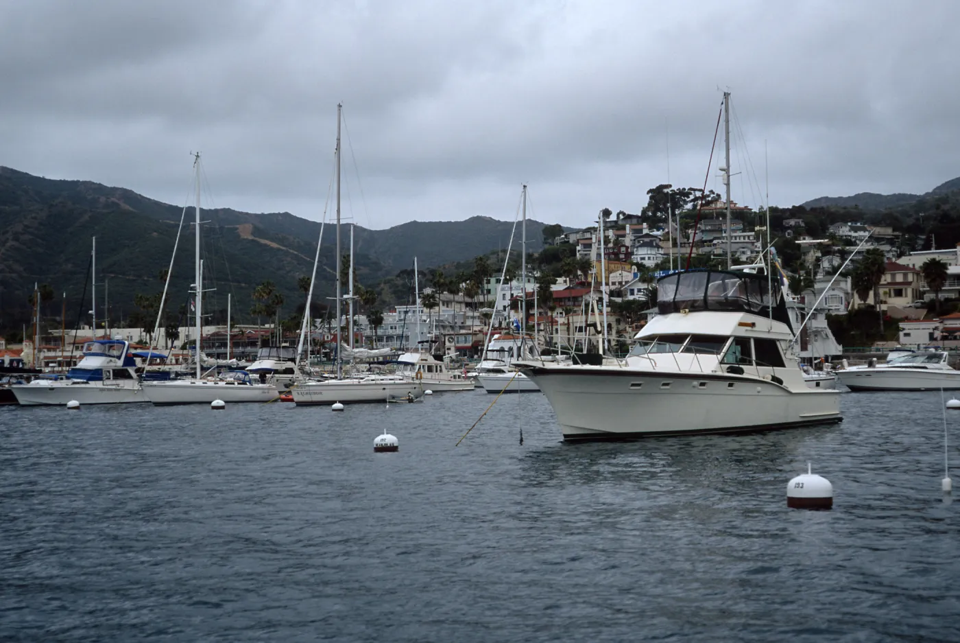 Avalon Harbor, Santa Catalina Island