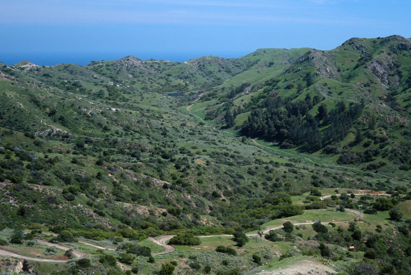 Cape Canyon, Santa Catalina Island