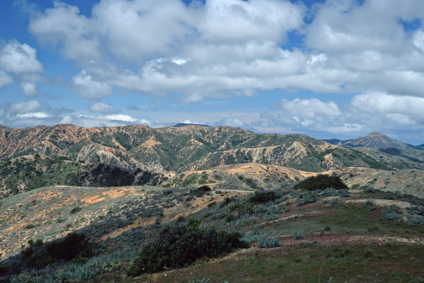 Orizaba (center) & Black Jack Peak (right) from Divide Road, Santa Catalina Road