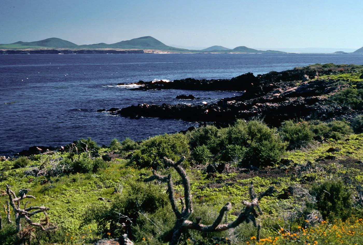 San Martin Island