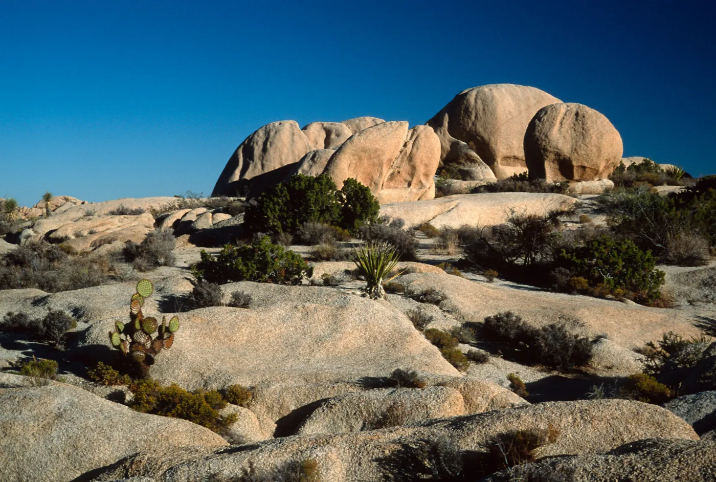 rocks, near Belle Campground, Joshua Tree National Park