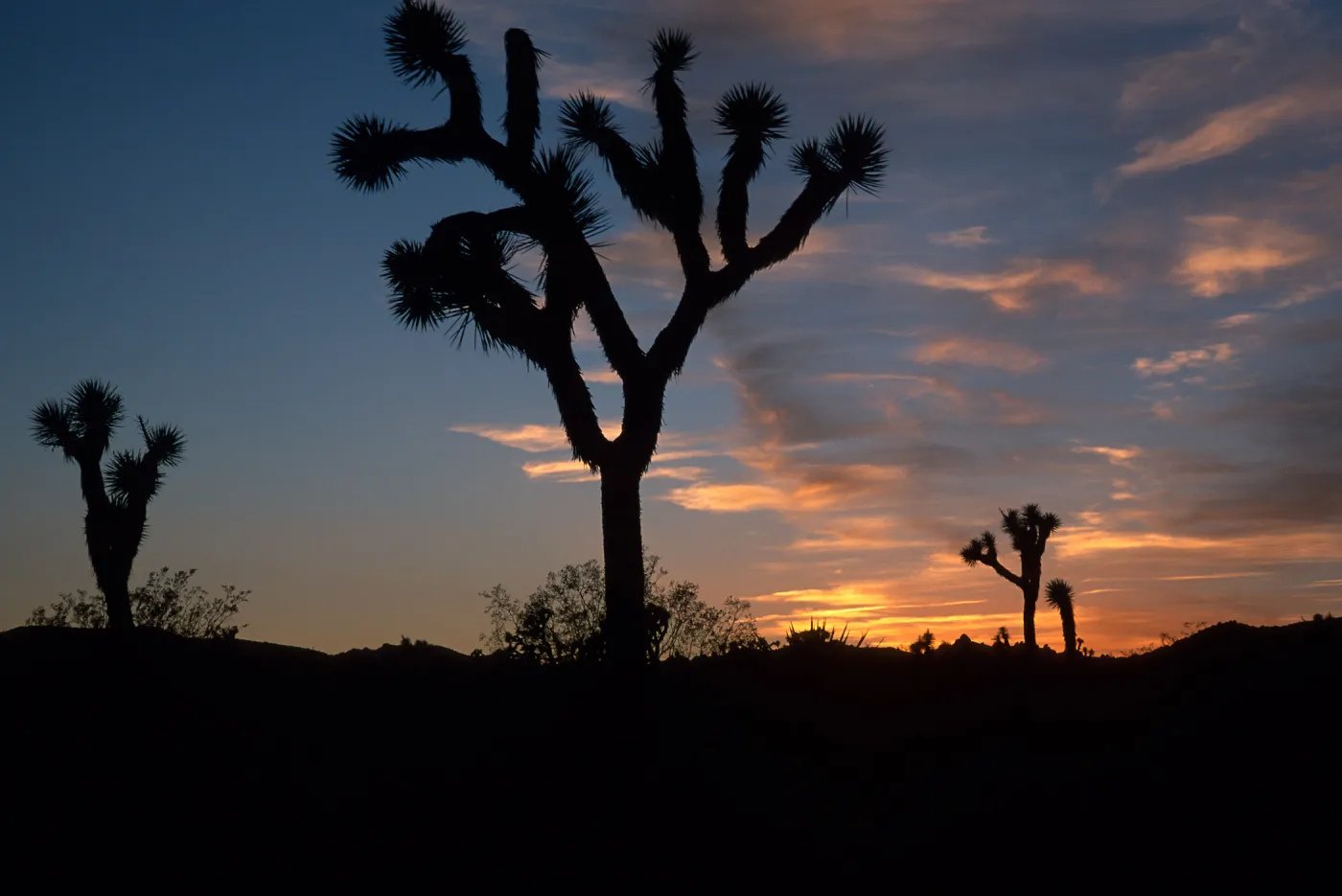sunset, near Belle Campground, Joshua Tree National Park