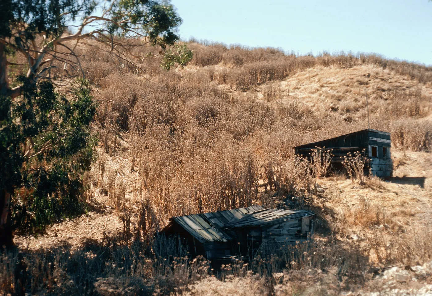 fishing shacks, West end of China Harbor, Santa Cruz Island