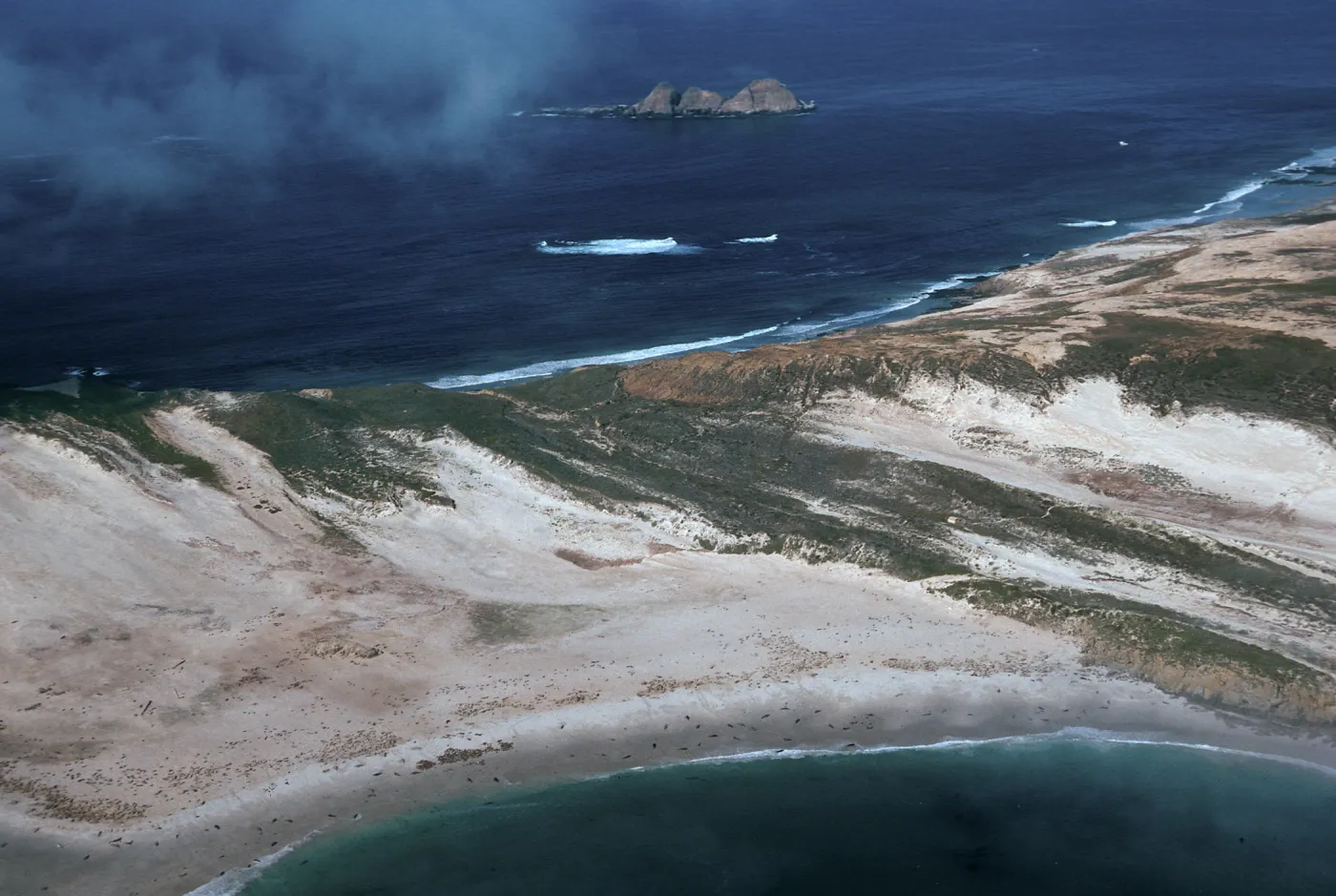 Point Bennett area, San Miguel Island