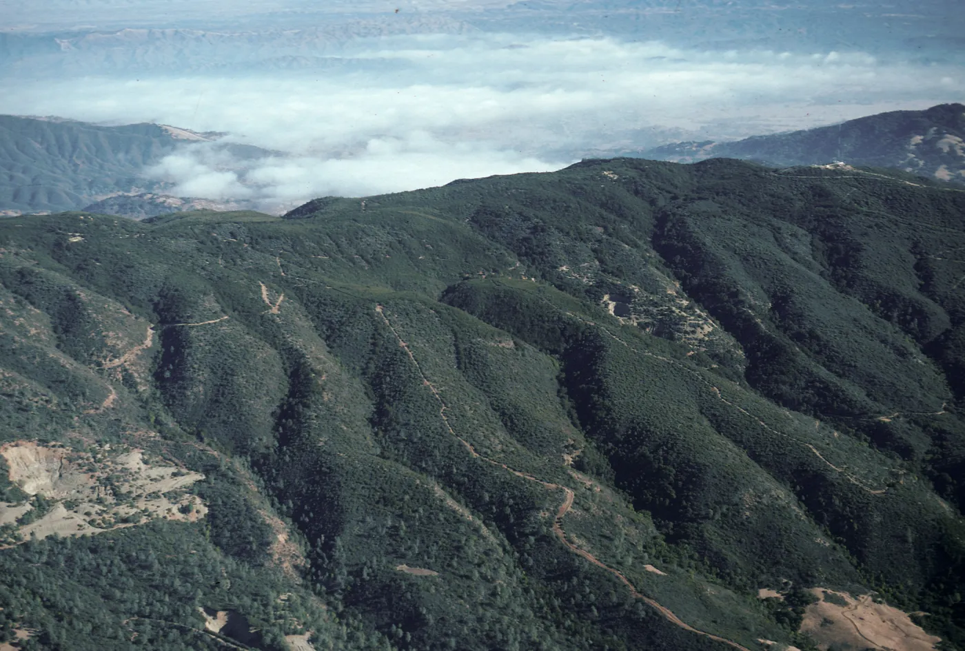 South side of ridge, West Cuesta ridge, San Luis Obispo County