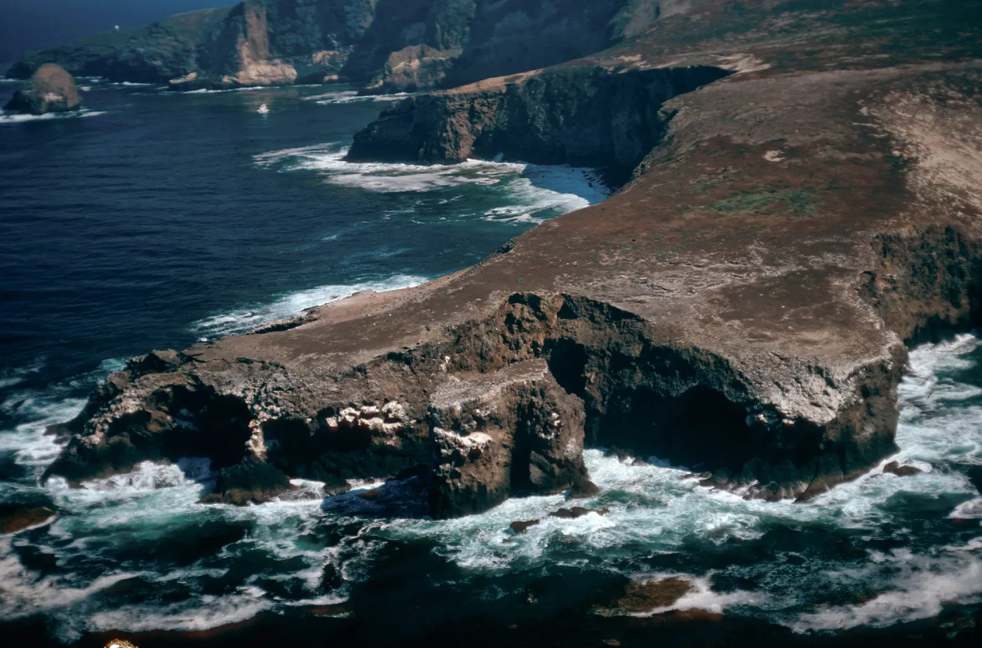 Webster Point, Santa Barbara Island
