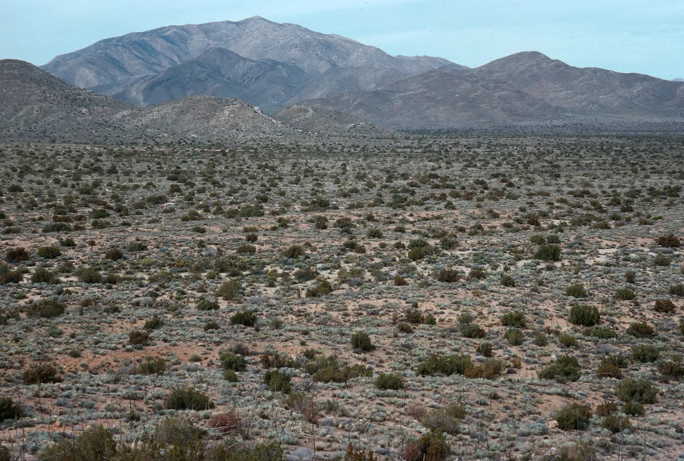 trail to Ghost Mountain, Blair Valley, Anza-Borrego State Park, San Diego County
