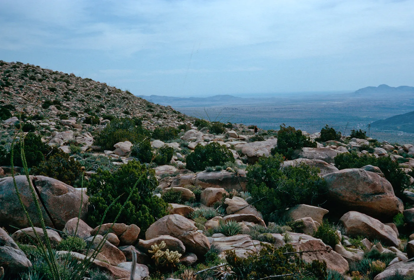 Ghost Mountain view, Anza-Borrego State Park, San Diego County