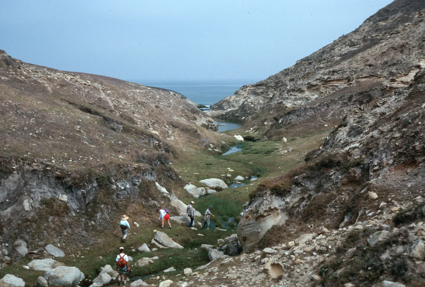 lower Cañon Lobos, Santa Rosa Island