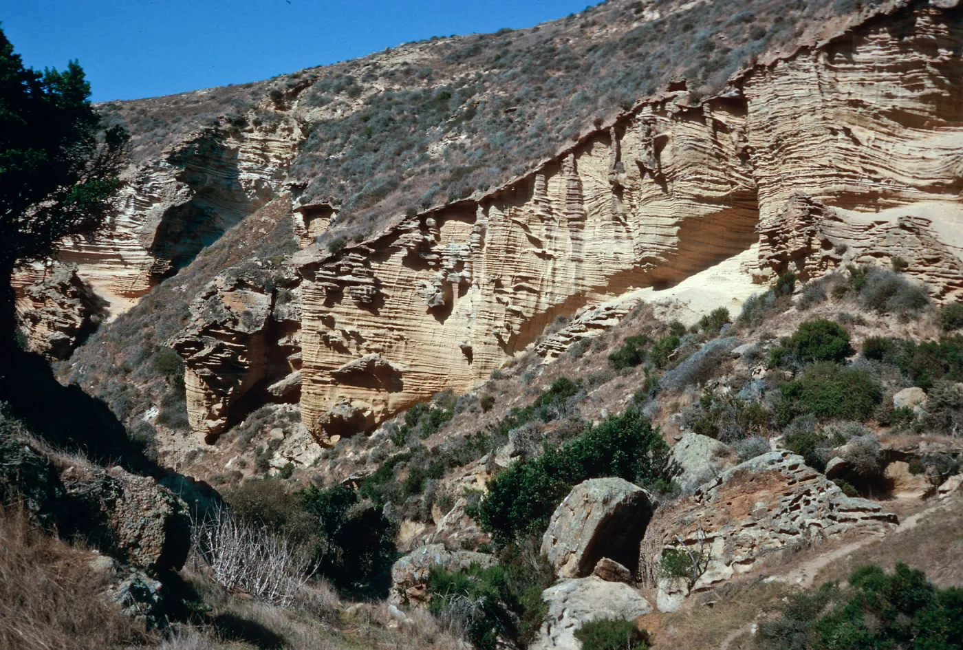 Lobo Canyon, Santa Rosa Island