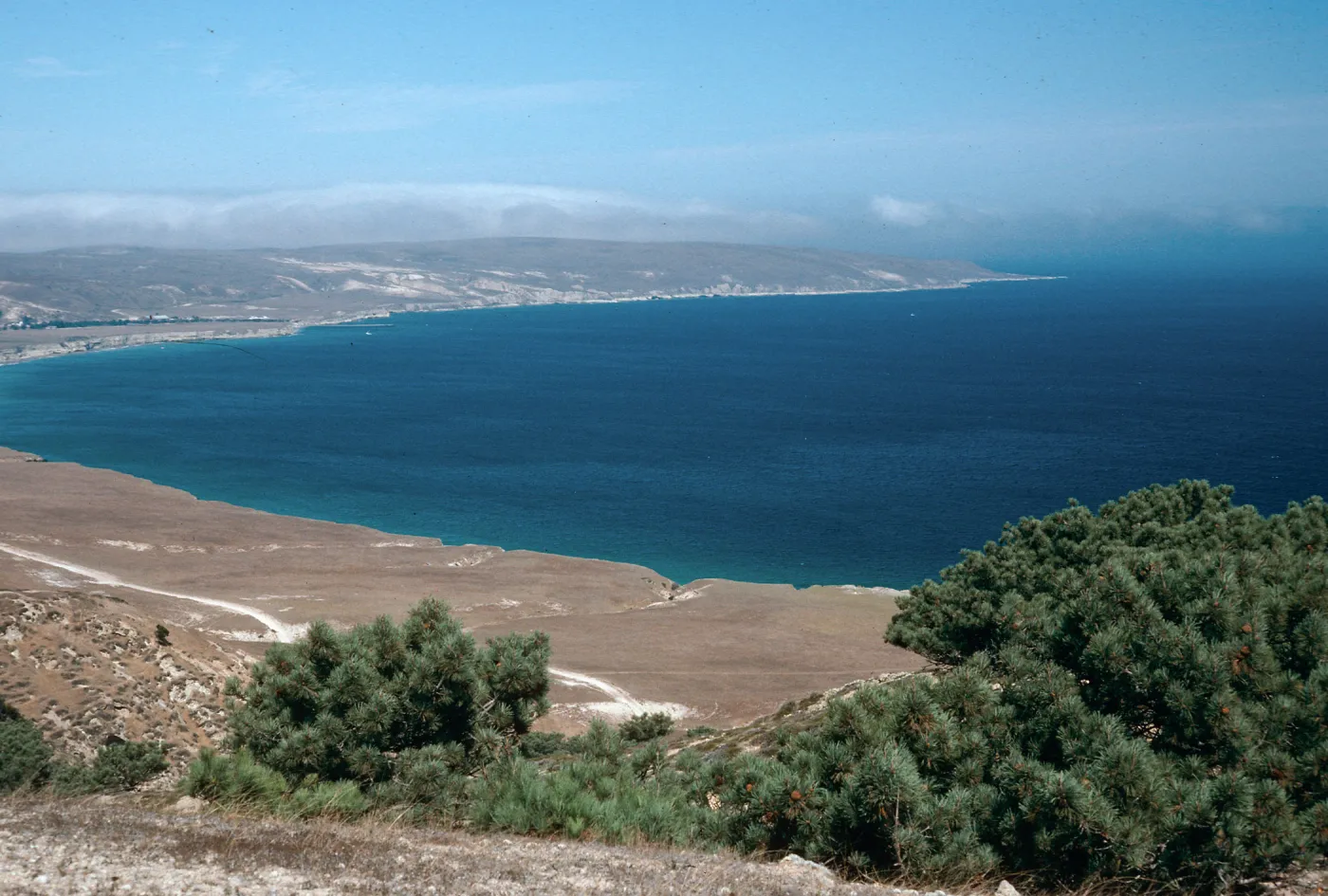 Beechers Bay from Torrey Pines, Santa Rosa Island