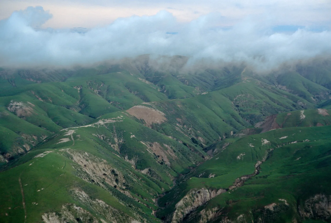South side, Santa Rosa Island
