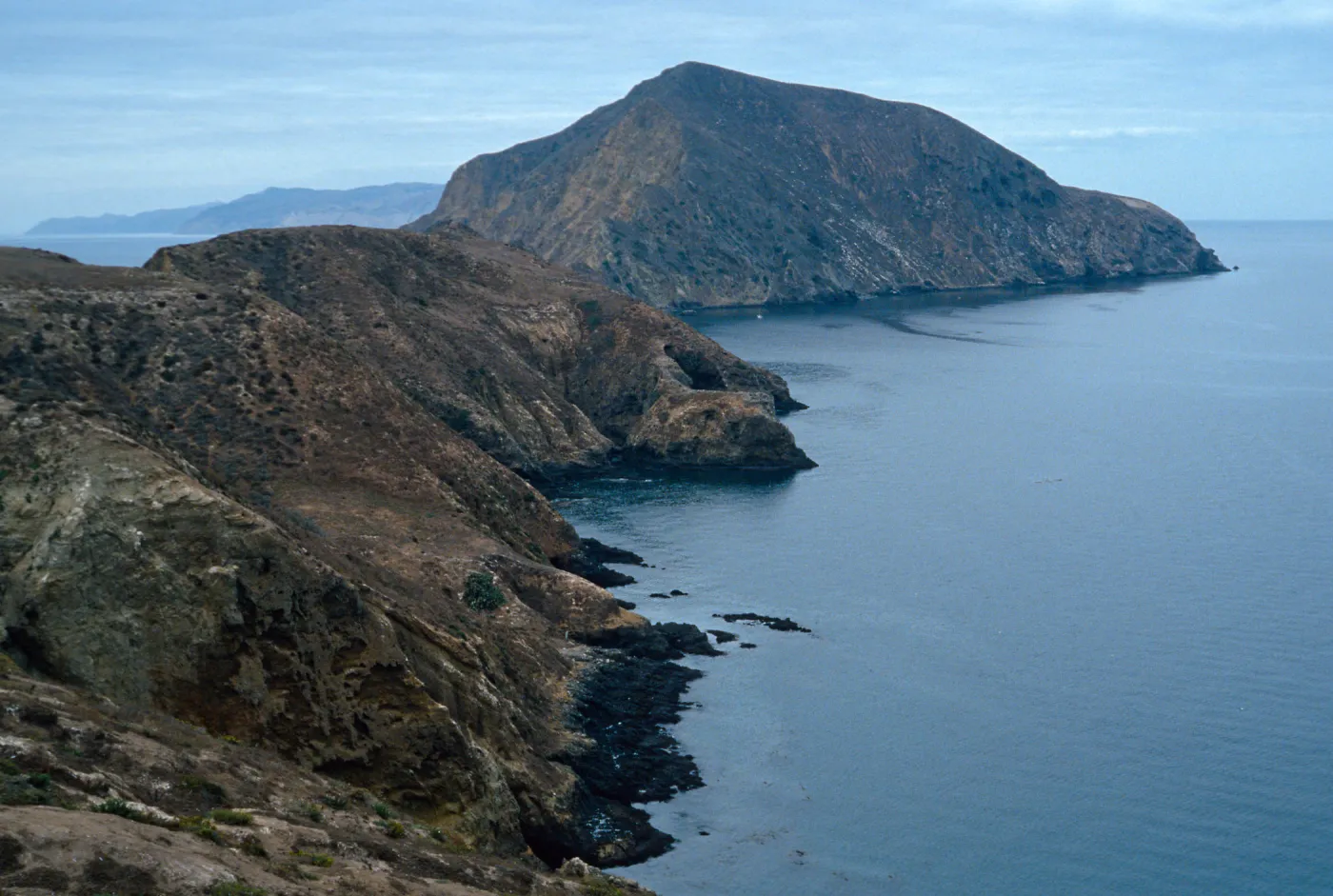 onshore slopes, Middle Anacapa Island