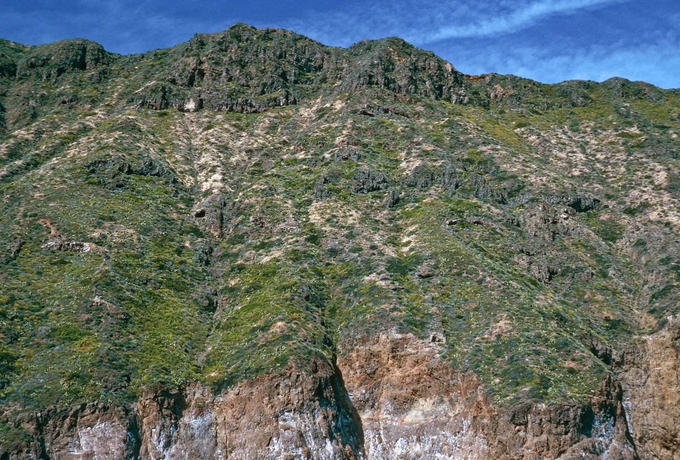 offshore bluffs, West Anacapa Island