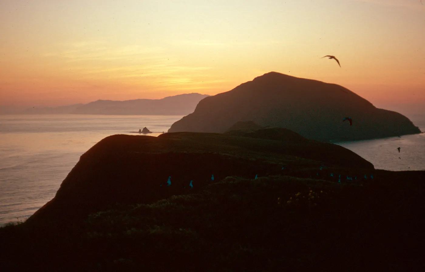sunset over West Anacapa & Santa Cruz Islands, Middle Anacapa Island
