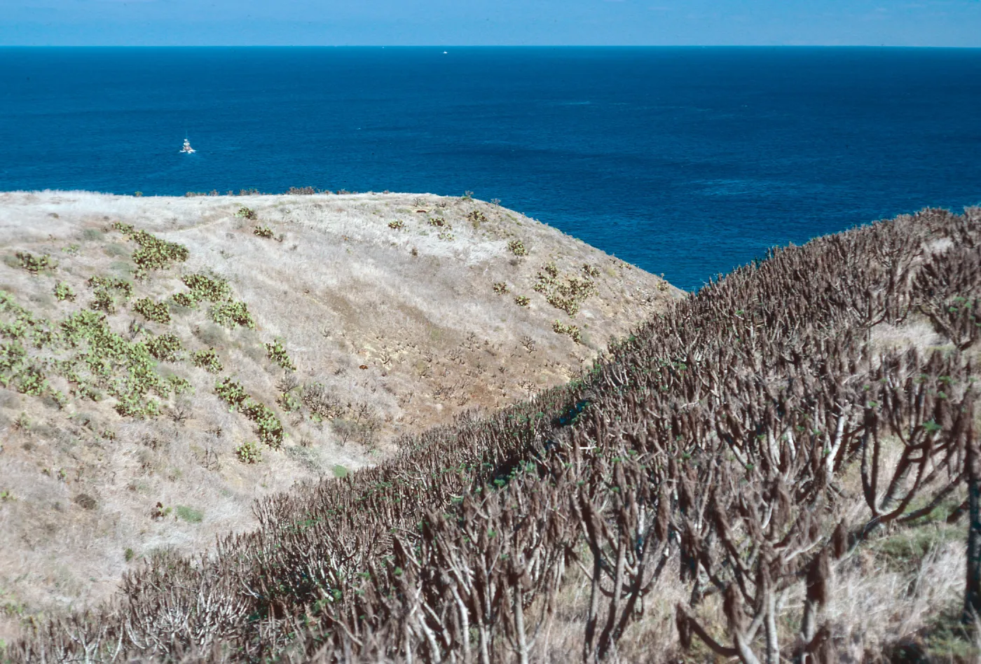 Cave Canyon, Santa Barbara Island