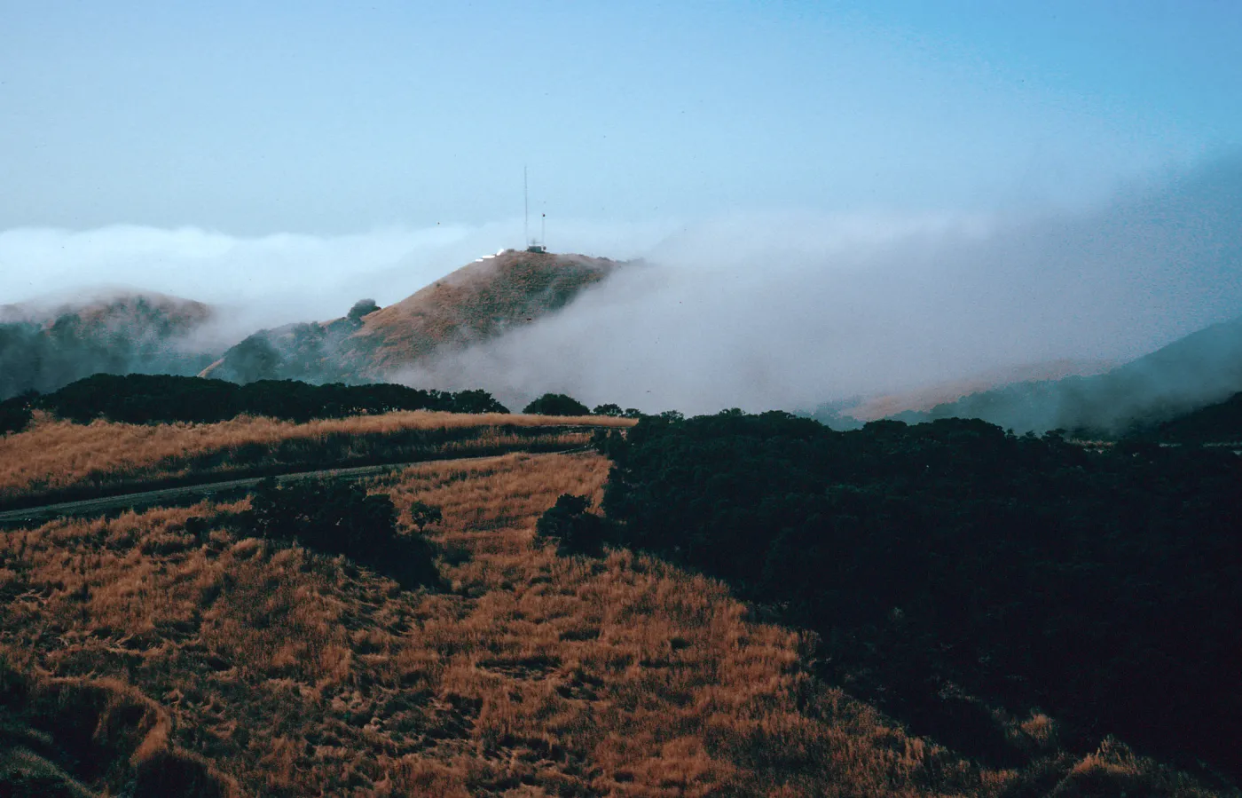 fog near Mount Pleasant, Santa Cruz Island