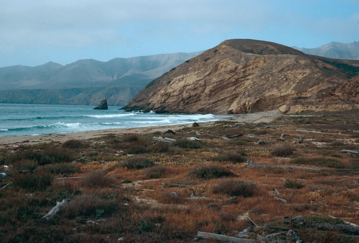 Sauces Beach, looking North, Santa Cruz Island